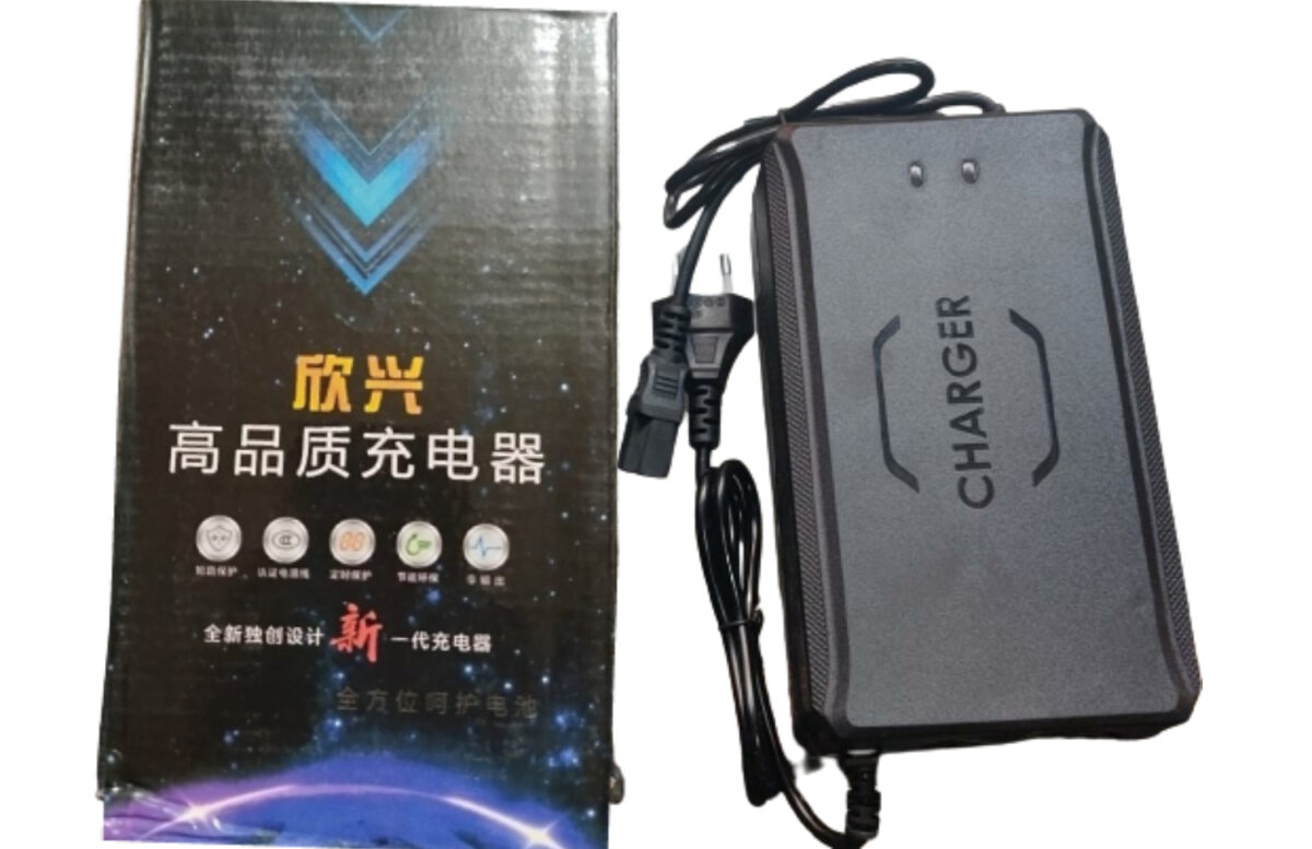 48V 50A EV  Battery Charger - Image 1